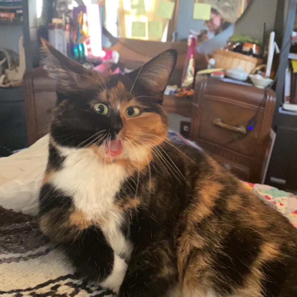Meet your Posher, Mazzy
